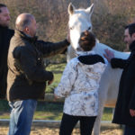 horse coaching